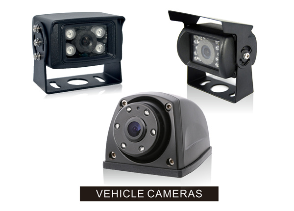 Bus cameras